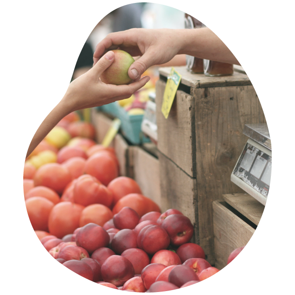 marchés de Vendée vente de pommes et autres fruits