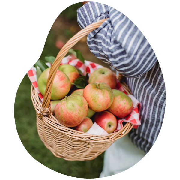 Journées cueillettes vergers d'apremont cueillir fruits